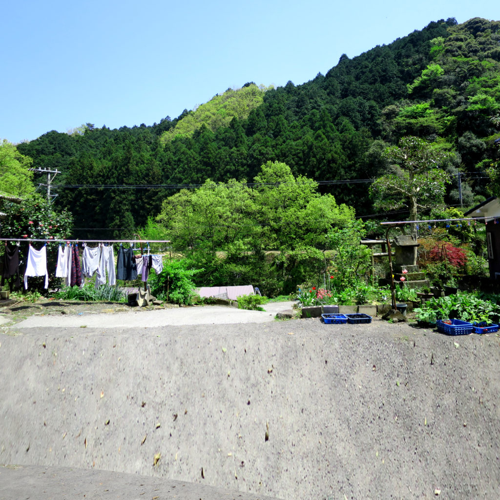 西本和美 移住できるかな