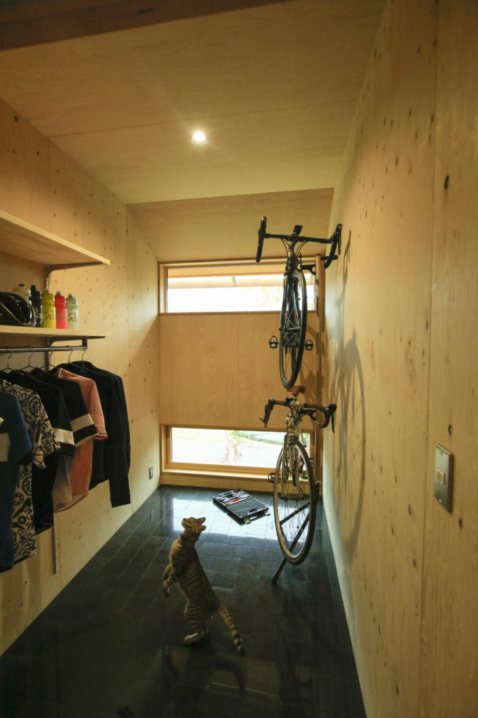 ロードバイクと猫