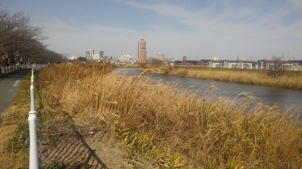 馬込川とアクトタワー