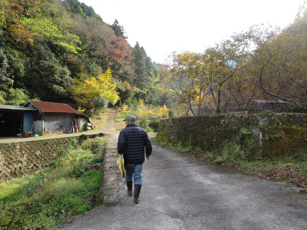 田舎の秋