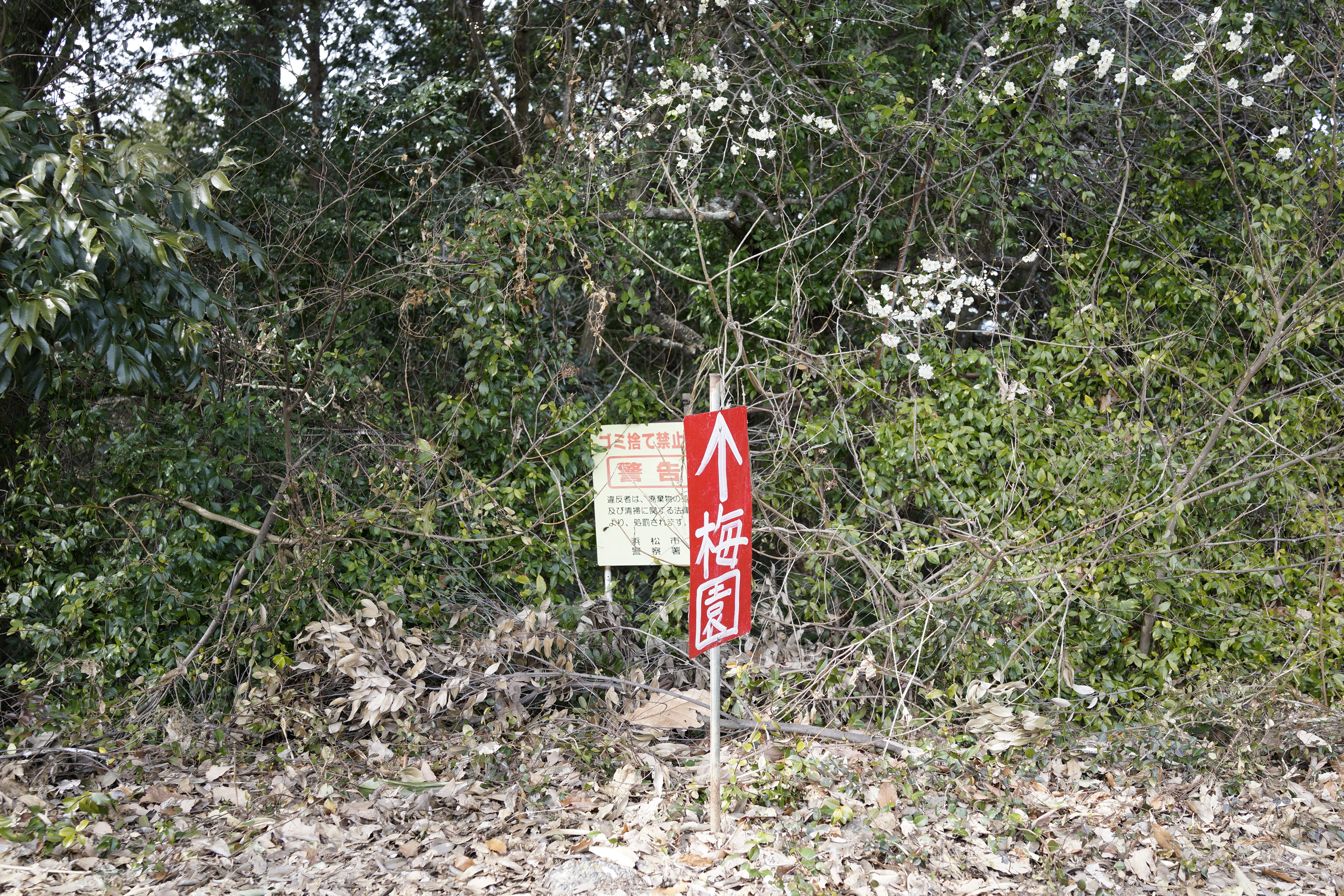 浜松市西区呉松町