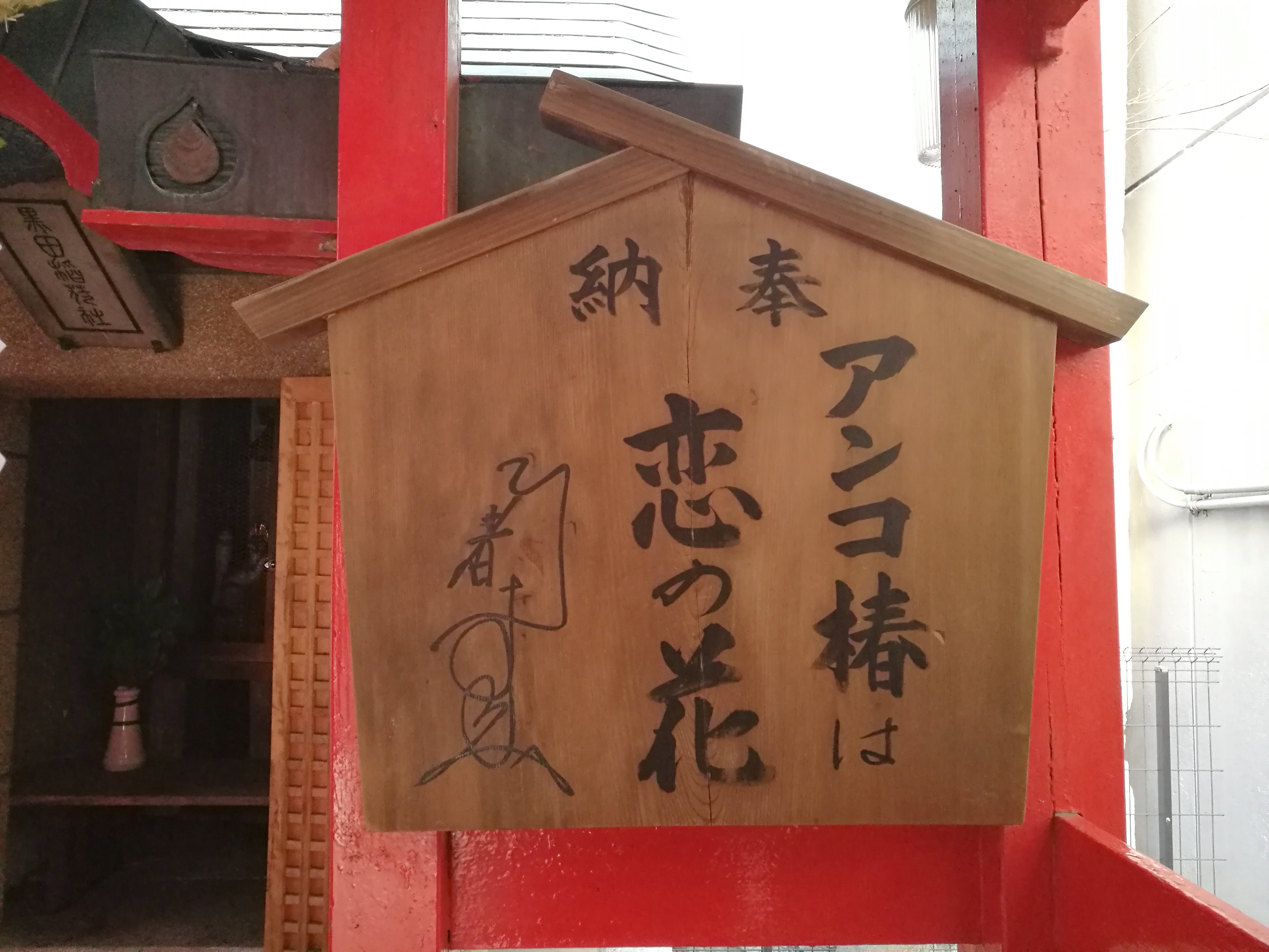 アンコ椿は恋の花