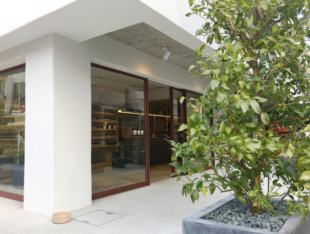 色彩のフィールドワーク:もてなす緑 加藤幸枝aesopイソップ東京自由が丘店フランスの建築家集団 シグー(Ciguë)