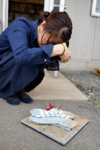 プチプラ七十二候