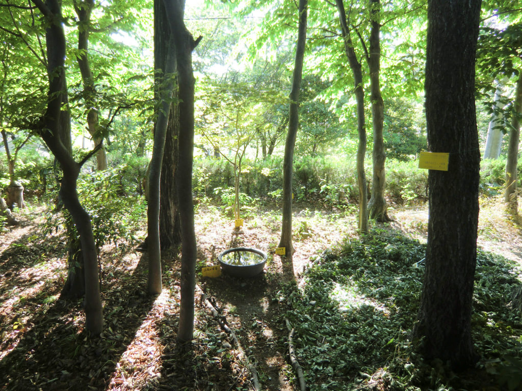 津端修一高蔵寺ニュータウン近くの一角に建てた平屋の一軒家