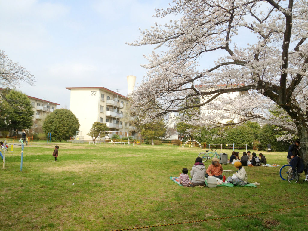 阿佐ヶ谷住宅での花見