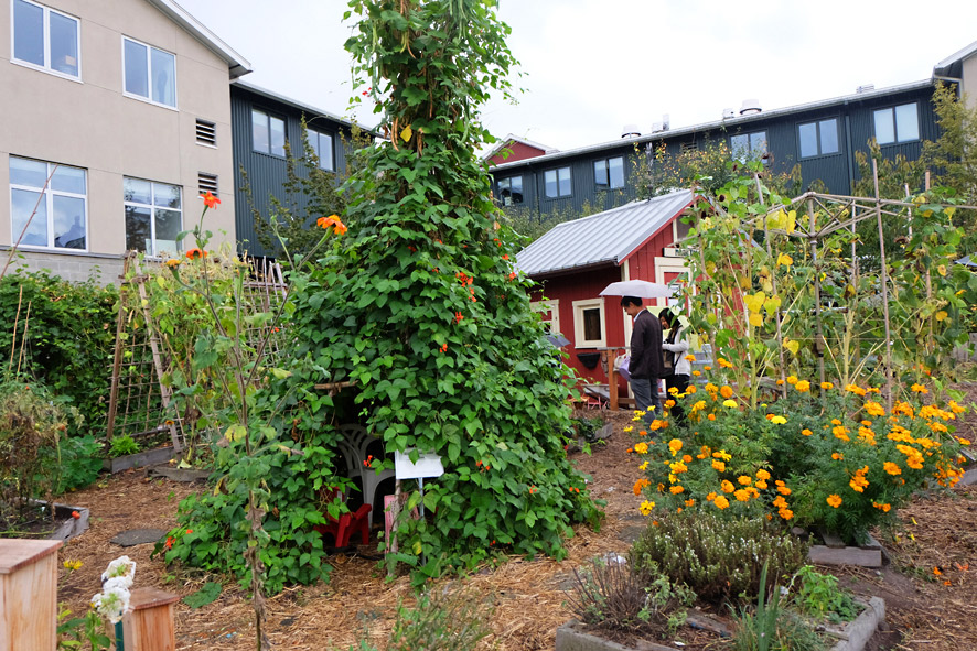 Children’s garden