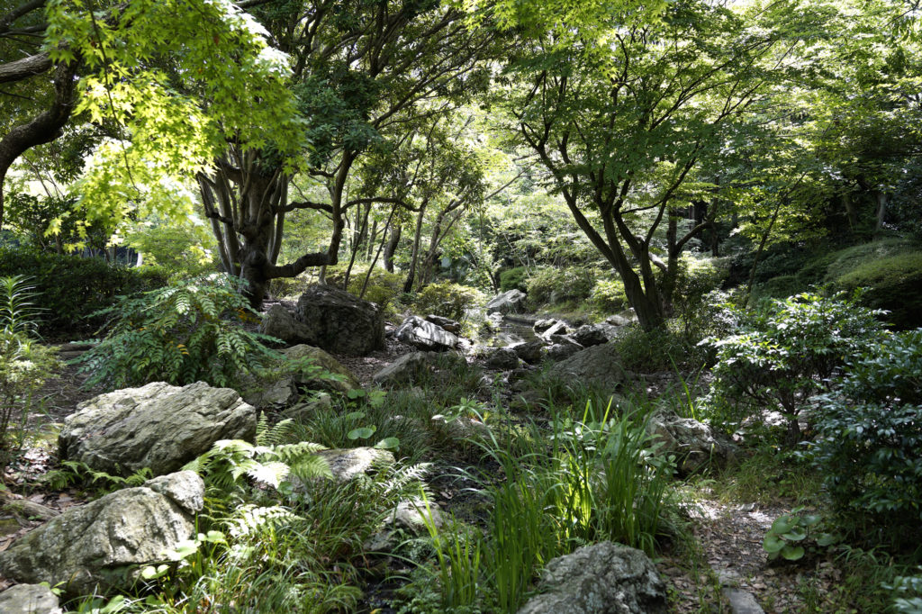 浜松城公園のせせらぎ