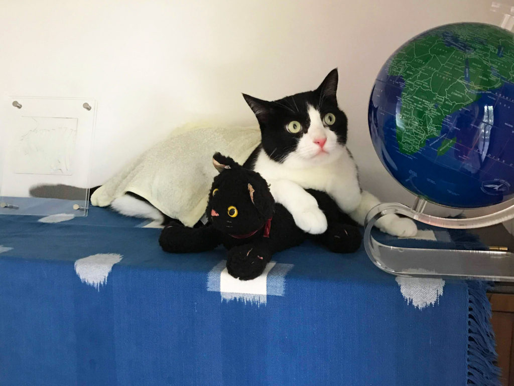 タオル猫と地球儀とぬいぐるみ