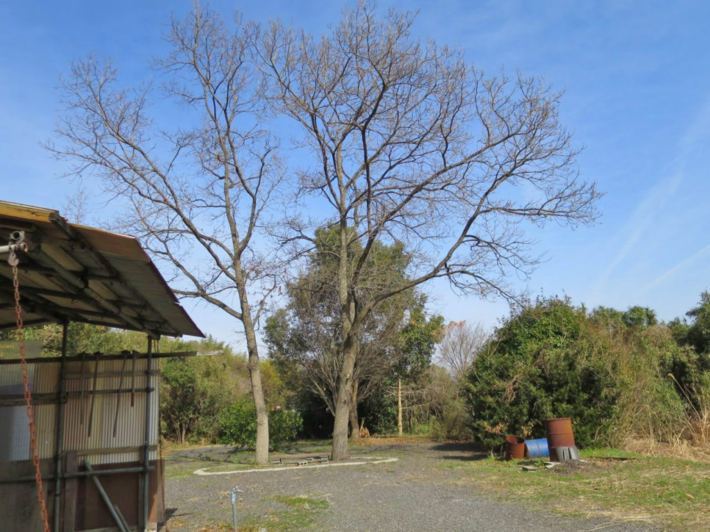 集落の憩いの場