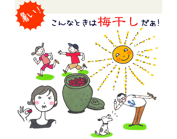 小野寺光子梅干しイラスト