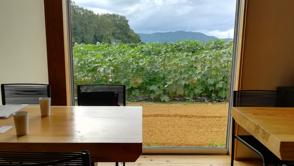 浜松市ノーティスの店内から見える畑