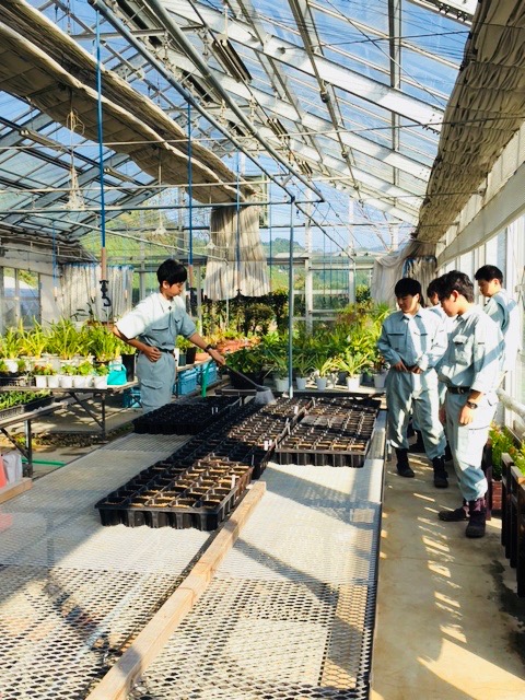 大埜地の集合住宅 農業高校 温室