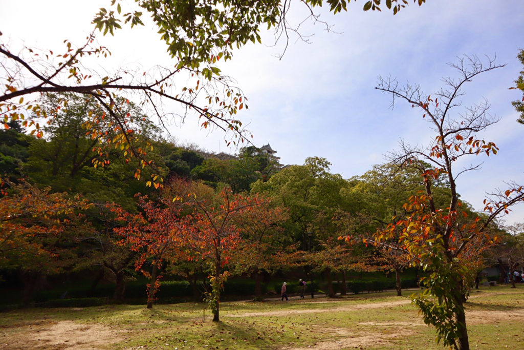 亀山公園の紅葉