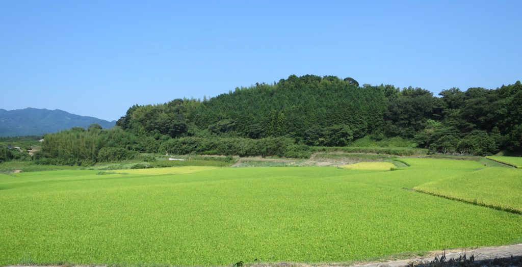 空き家バンクの田園風景
