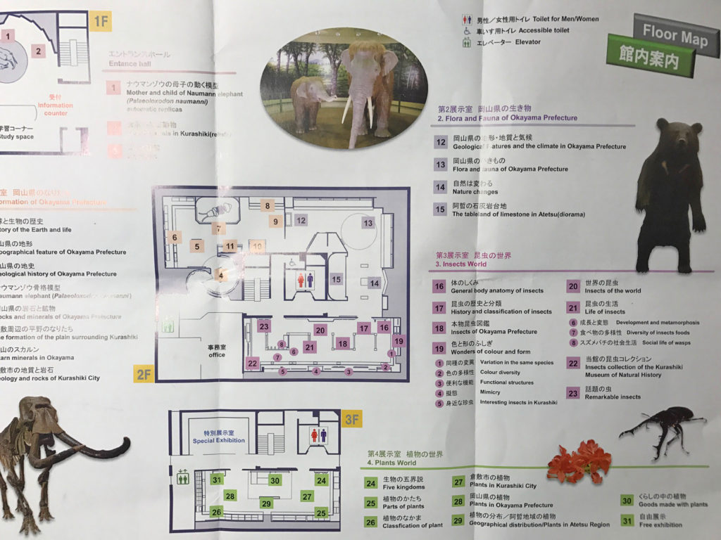 倉敷自然史博物館のフロアマップ