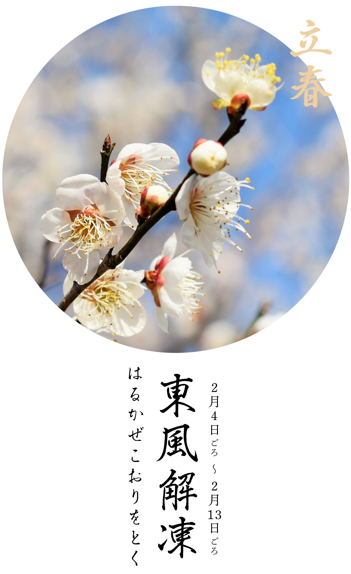 立春初候・東風解凍