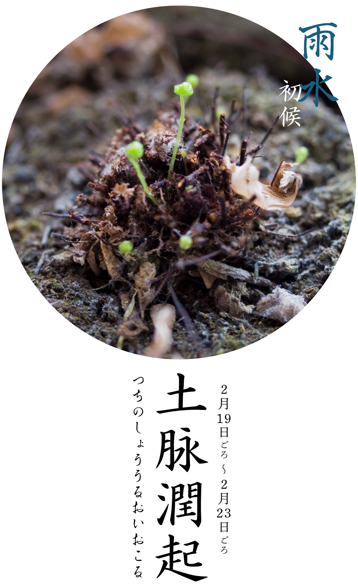 雨水初候・土脉潤起
