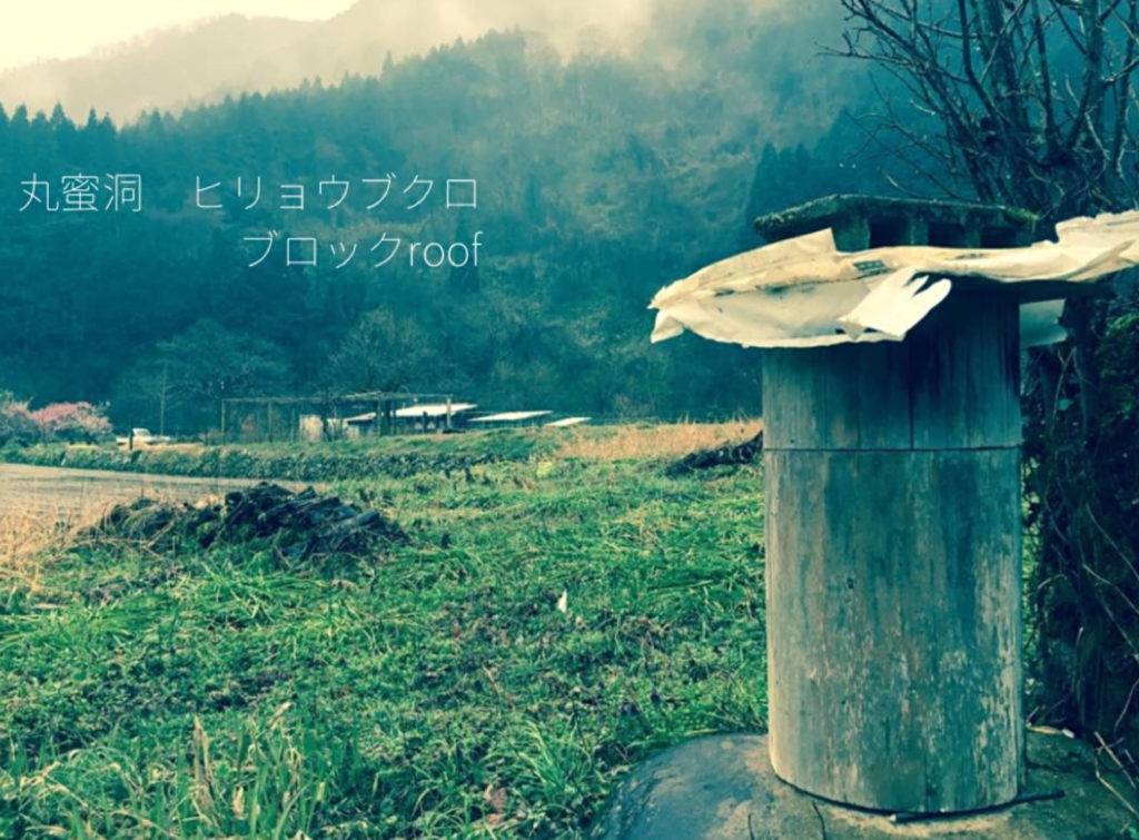 日本ミツバチの巣丸蜜洞を肥料袋とブロックで補強