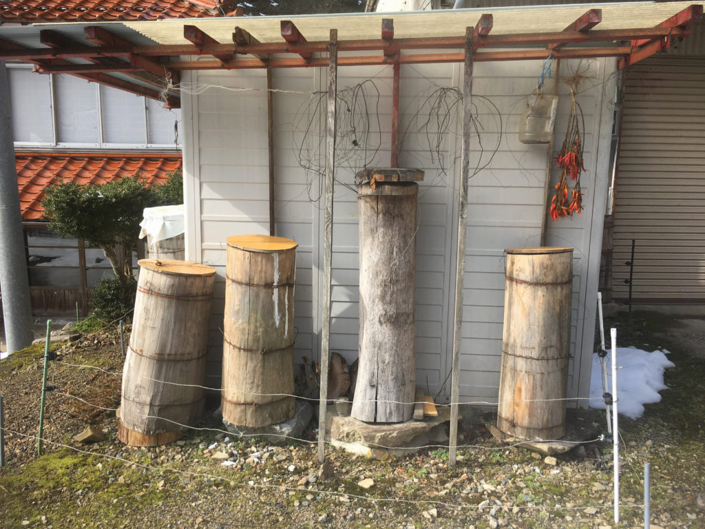 ニホンミツバチの蜜洞タイプの巣