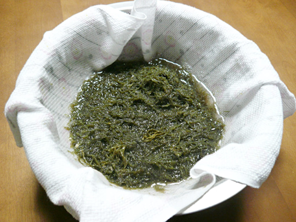 煮てきれいな緑になった天草