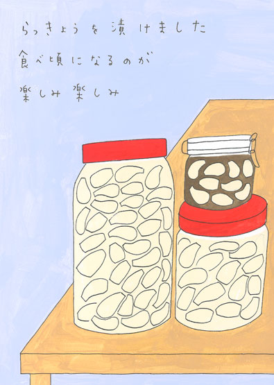 らっきょうを漬けました