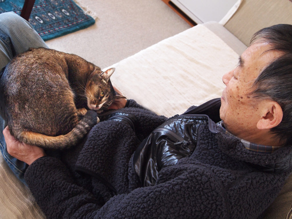 サビ猫とお父さん