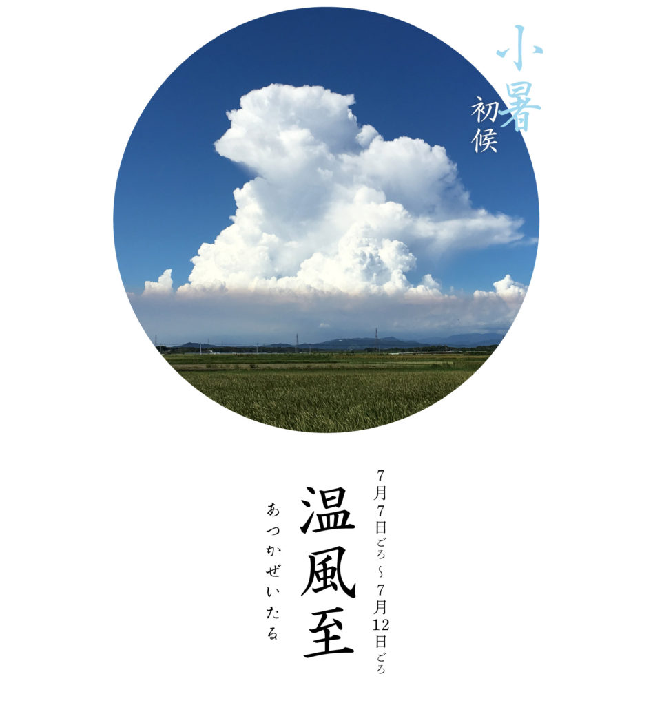 温風至
