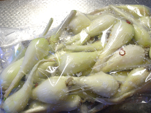 らっきょうの塩漬けをビニールに入れる