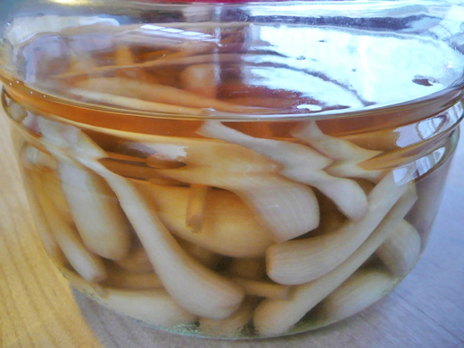 らっきょうの甘酢漬け
