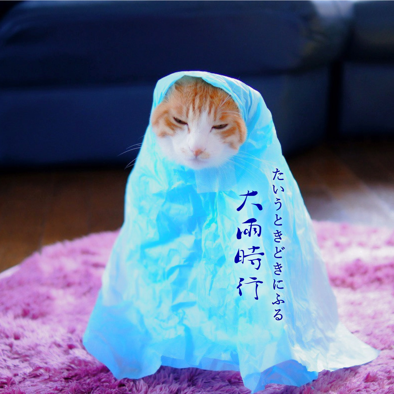 大雨時行と猫