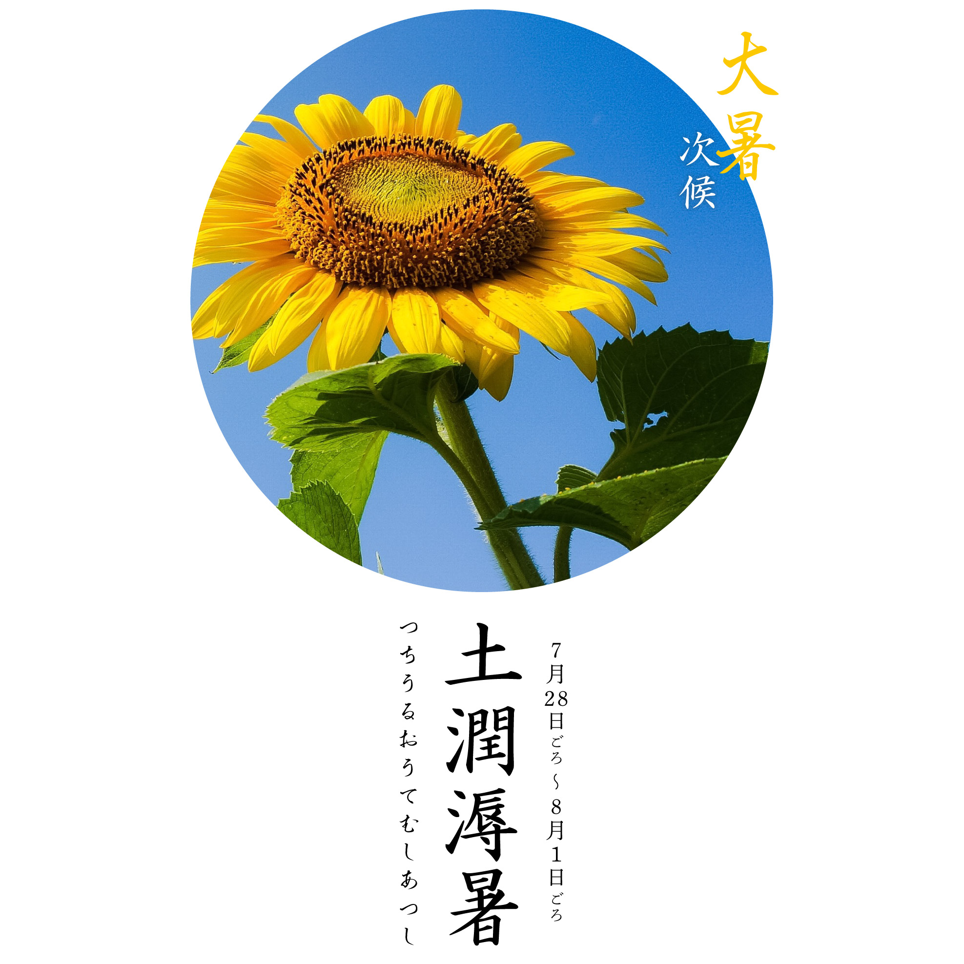 土潤溽暑