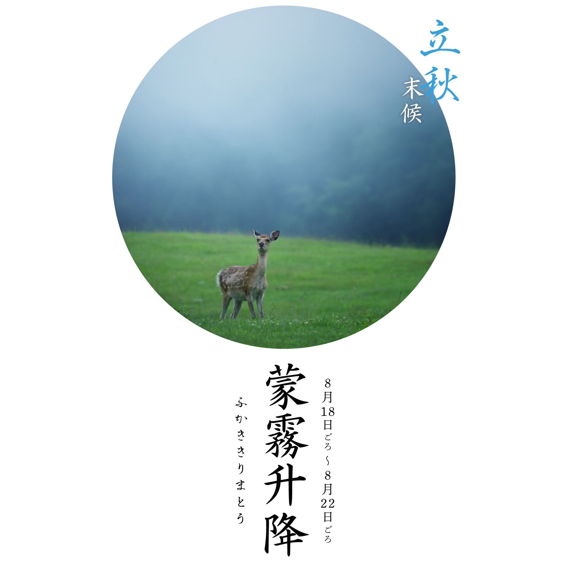 蒙霧升降