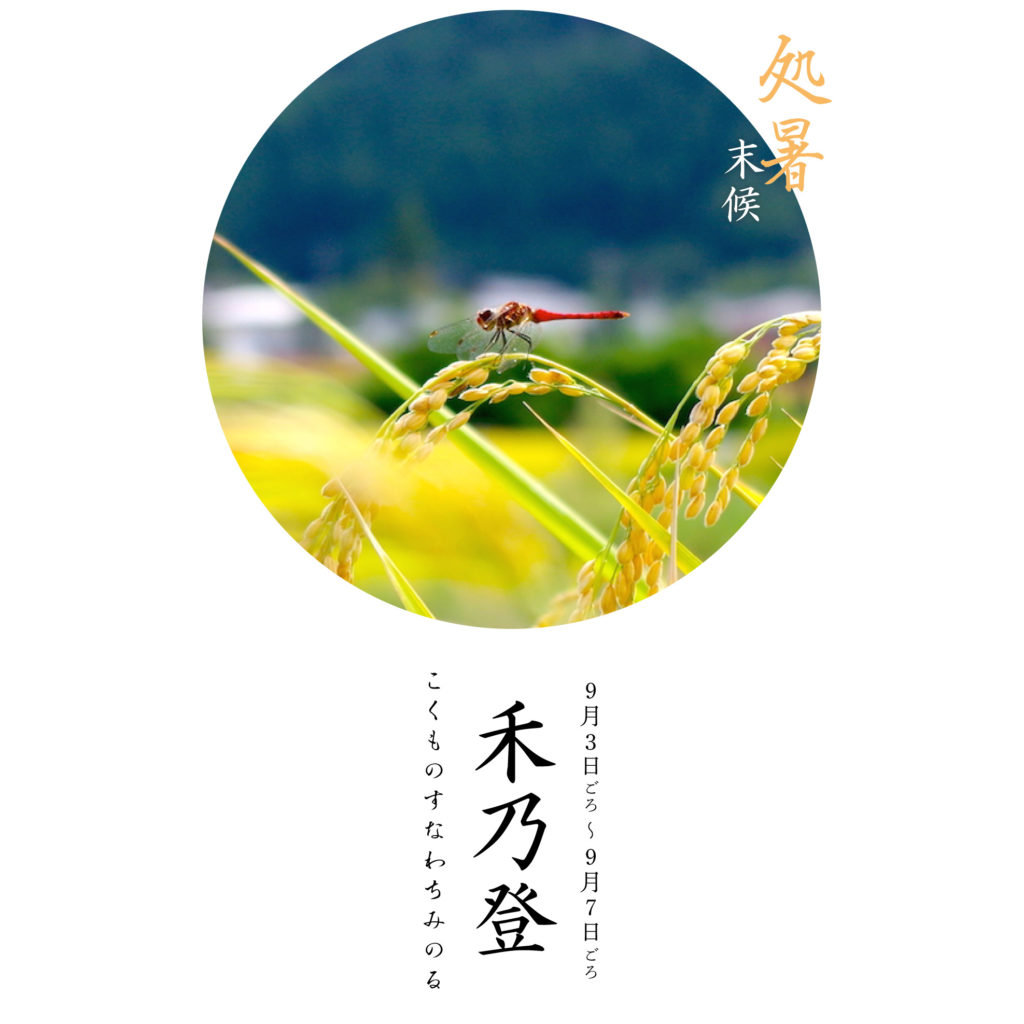 禾乃登