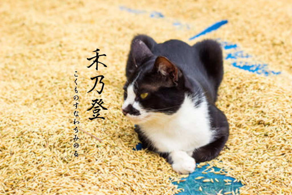 禾乃登と猫