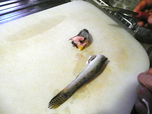 ハゼの調理開始
