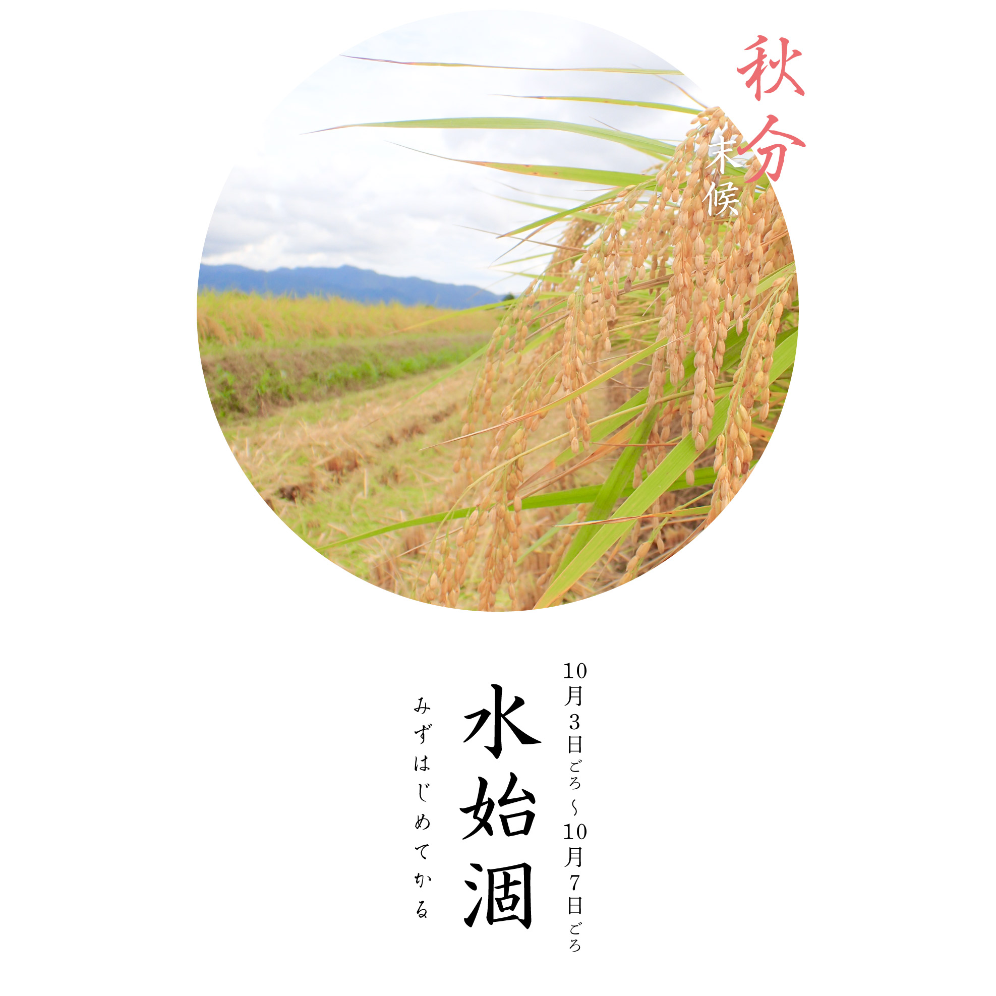 秋分水始涸