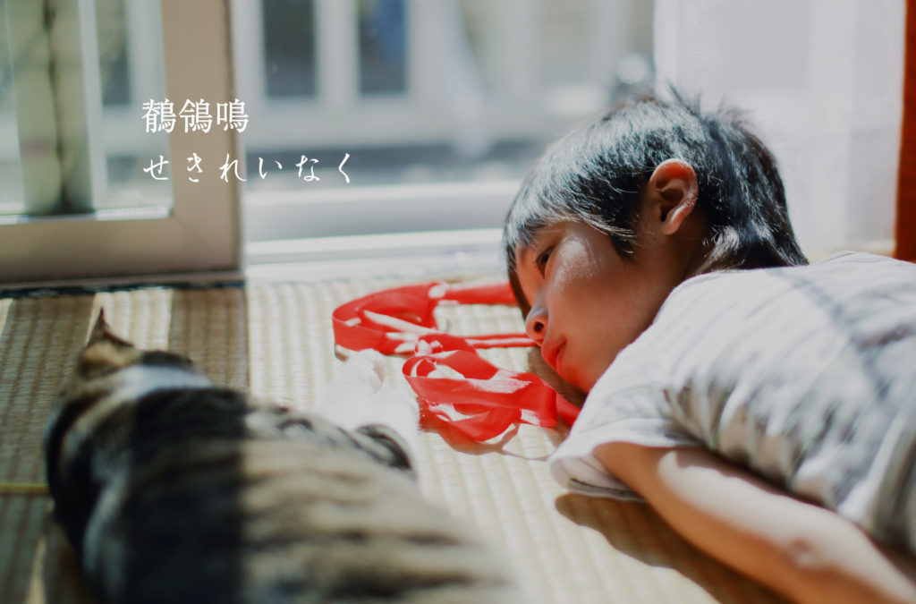 猫とひなたぼっこ