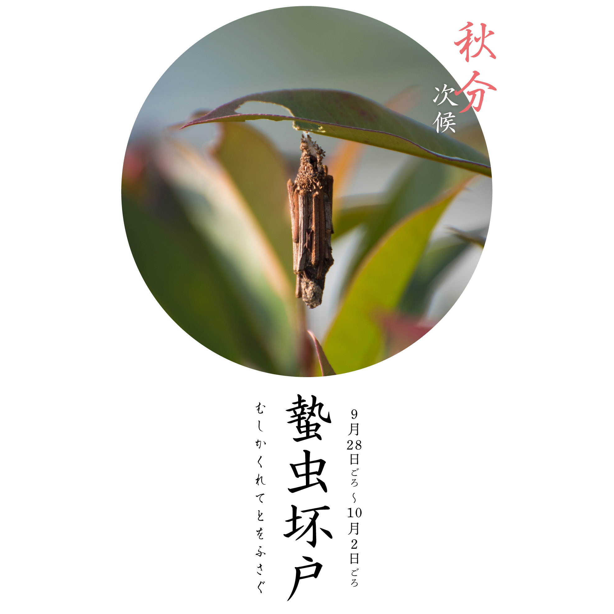 秋分蟄虫坏戸