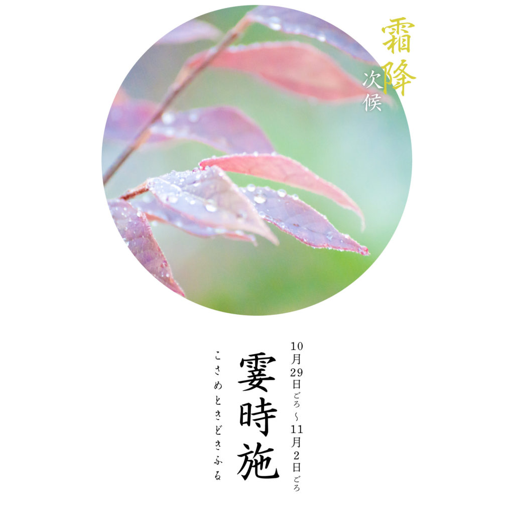霎時施
