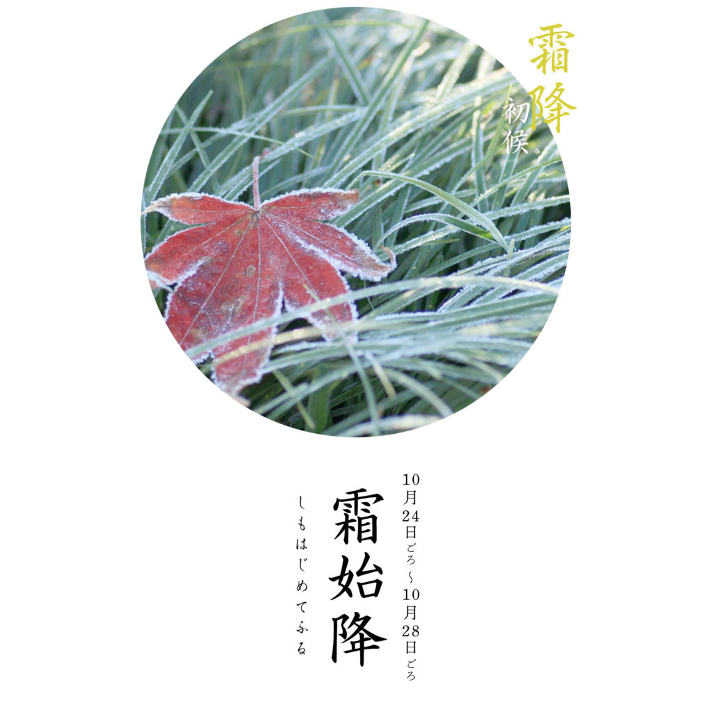 霜始降