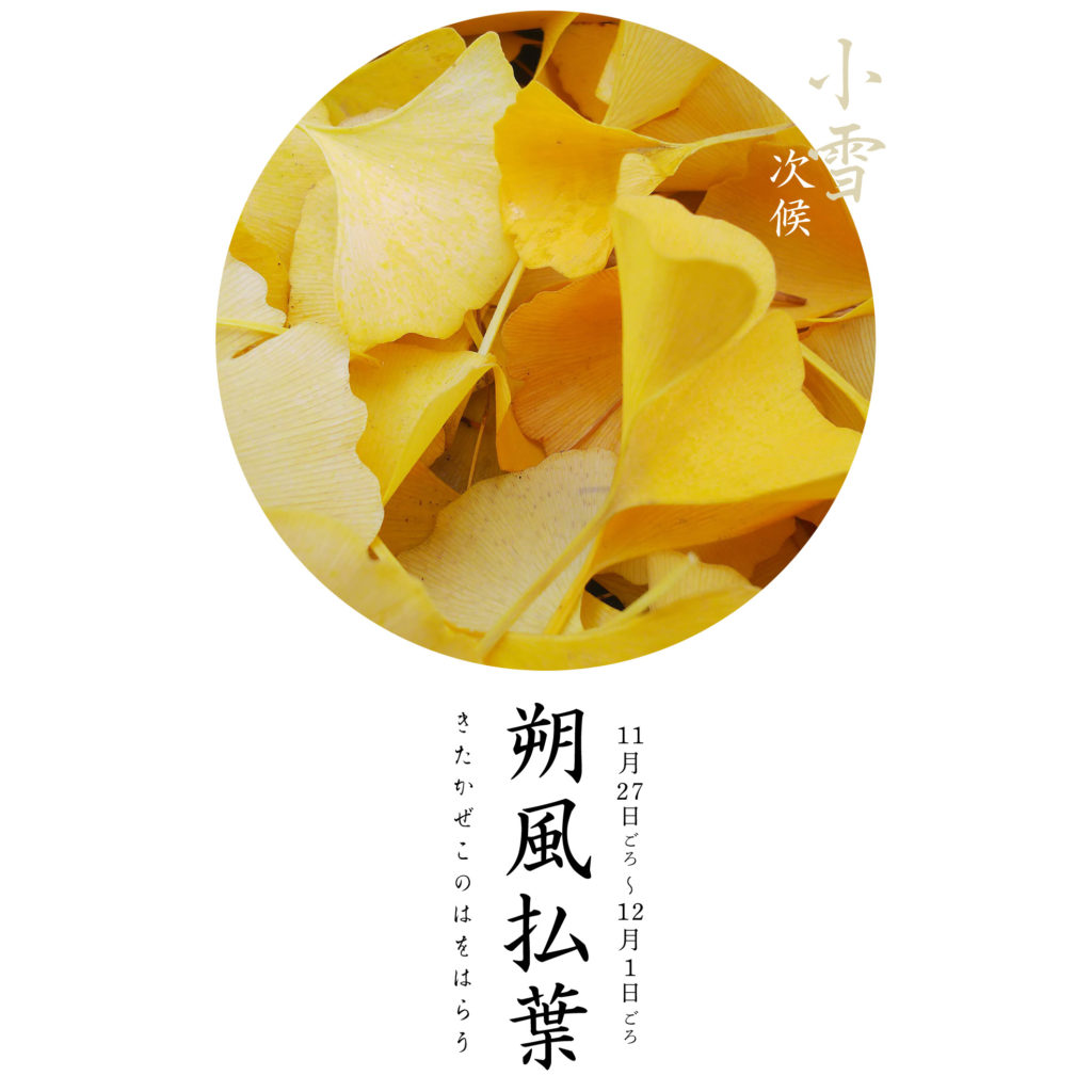 朔風払葉