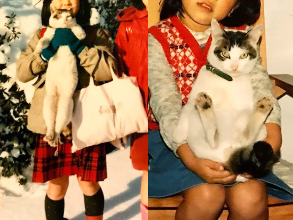 抱っこされておとなしくしている猫と姉妹