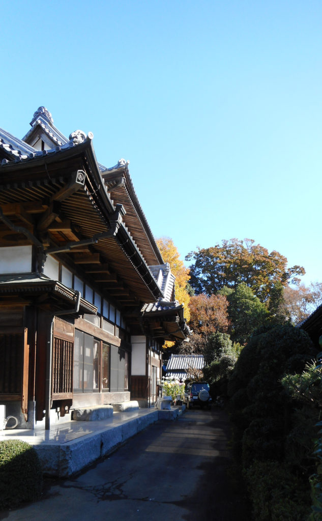 屋敷林と伝統的な造りの屋敷