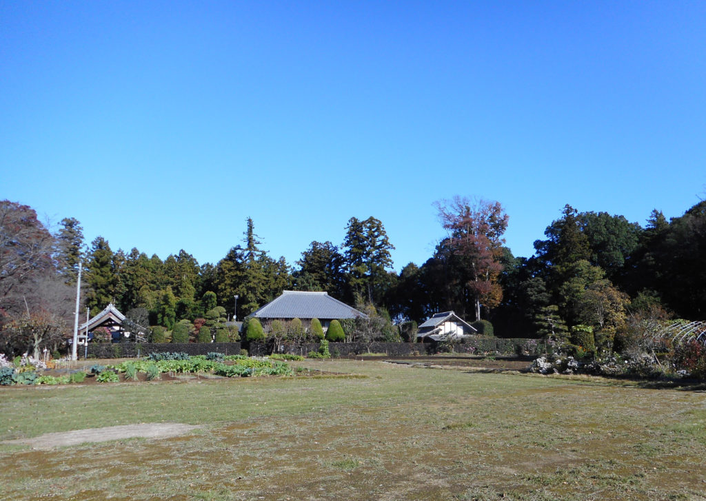 屋敷林に囲まれた住宅と畑