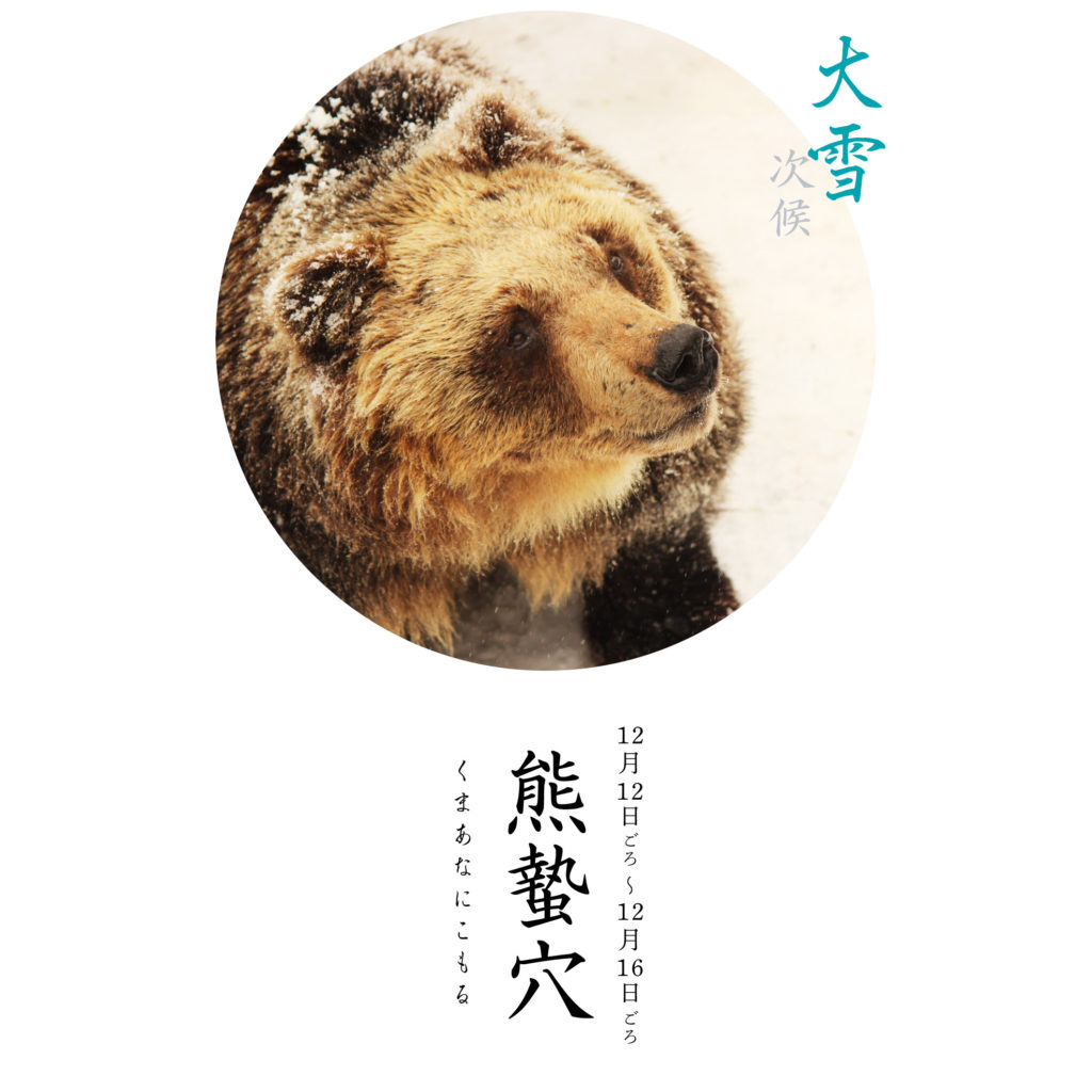 熊蟄穴