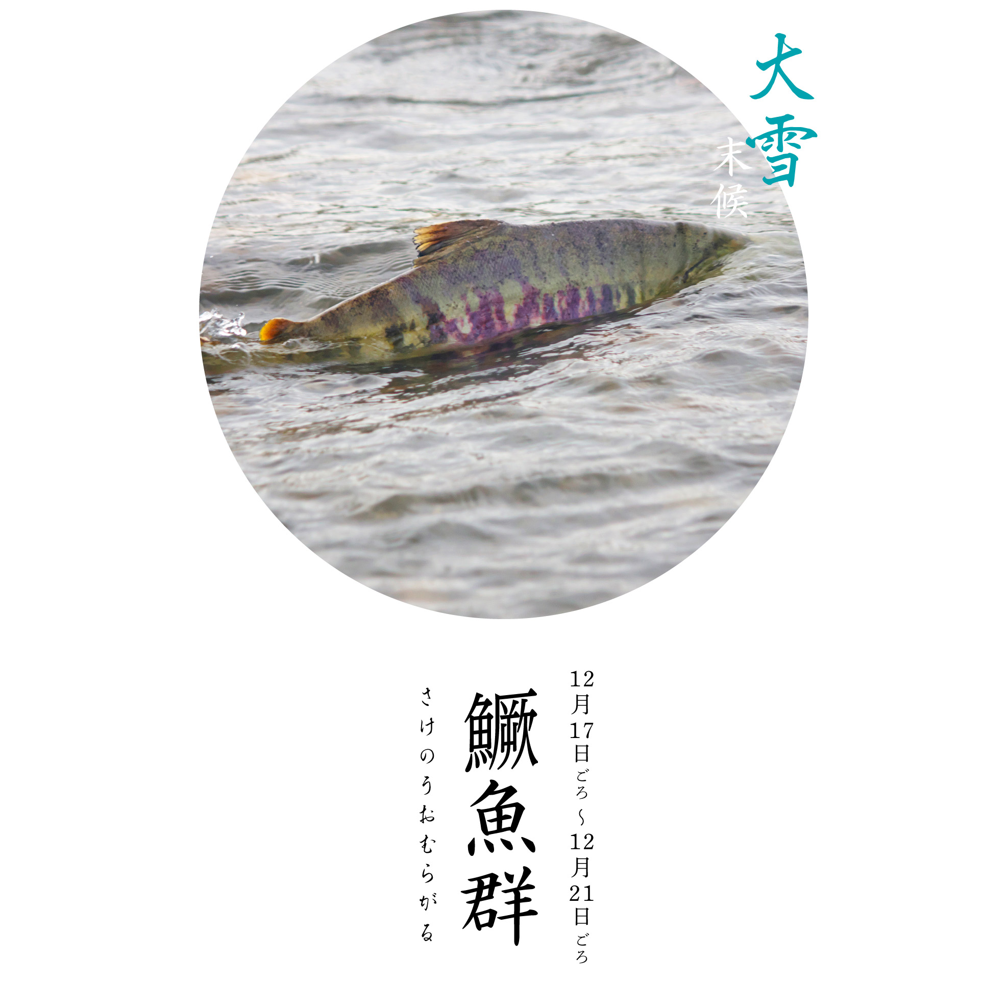熊蟄穴