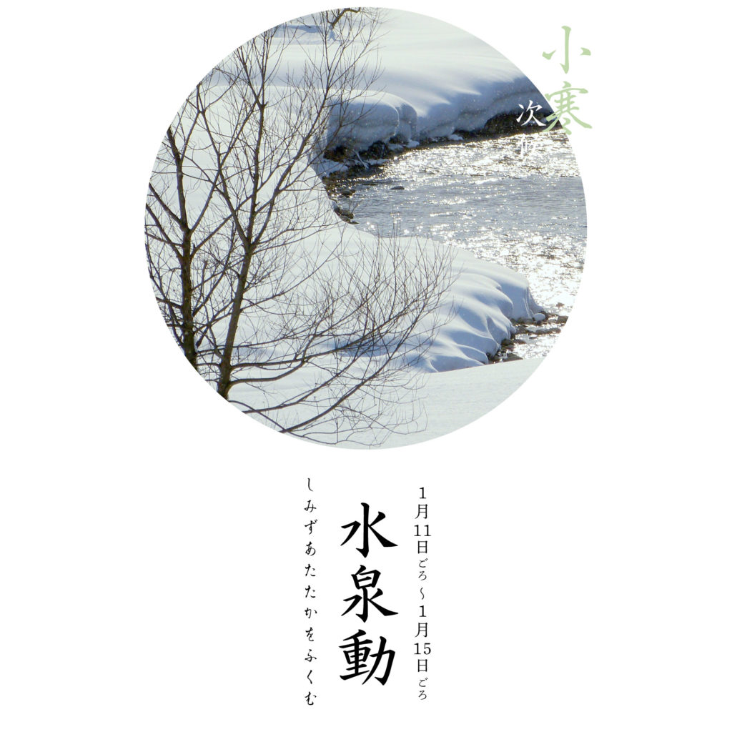 水泉動