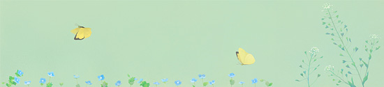 花と蝶