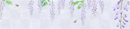 藤の花